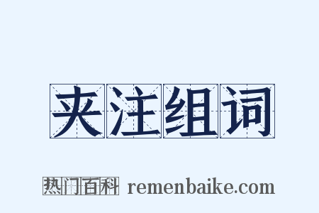 夹注组词是什么意思的图片